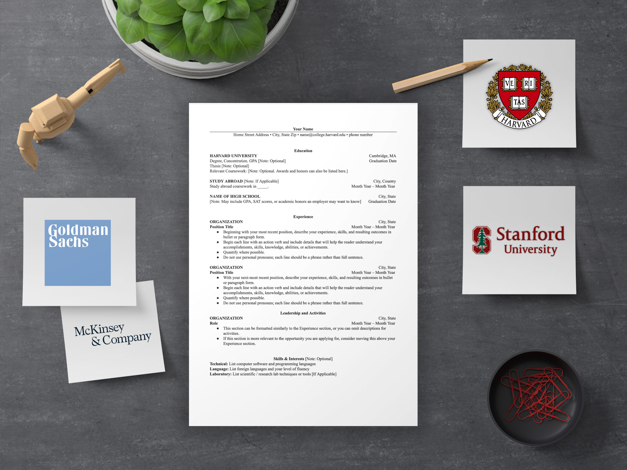 4 Cv Templates Used By Harvard And Mckinsey And The Danish